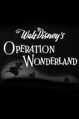 Operation Wonderland's poster