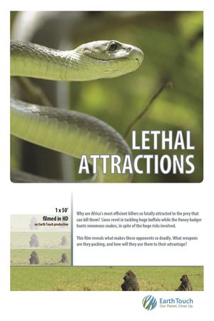 Lethal Attractions's poster