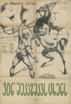 ვინ შეკაზმავს ცხენს's poster