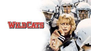 Wildcats's poster