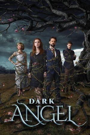 Dark Angel's poster