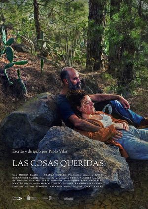 Las cosas queridas's poster