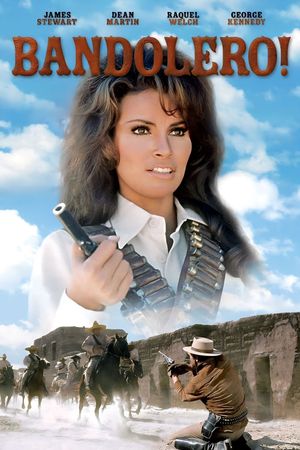 Bandolero!'s poster