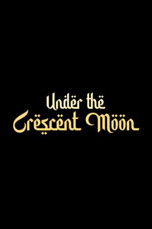 Under the Crescent Moon's poster