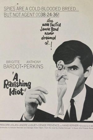 Agent 38-24-36's poster
