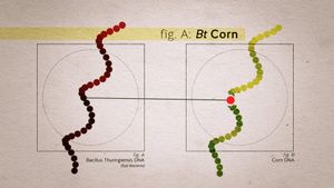Food Evolution's poster