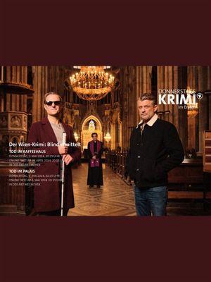 Der Wien-Krimi: Blind ermittelt - Tod im Palais's poster
