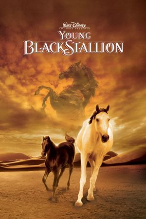 The Young Black Stallion's poster