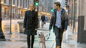 Who Gets the Dog?'s poster