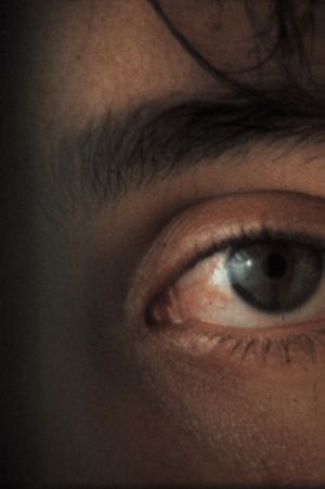 Shock Video's poster