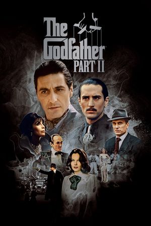 The Godfather Part II's poster