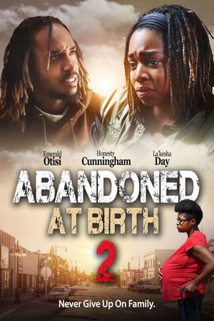 Abandoned at Birth 2's poster image