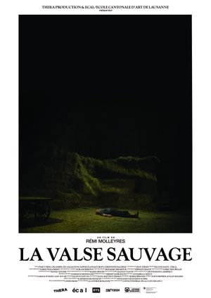 La Valse sauvage's poster