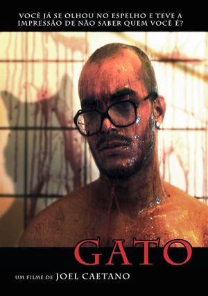 Gato's poster image