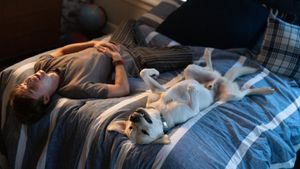 Dog Gone's poster