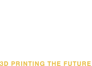 Project Home's poster