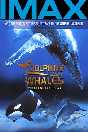 IMAX Dolphins and Whales: Tribes of the Ocean's poster image