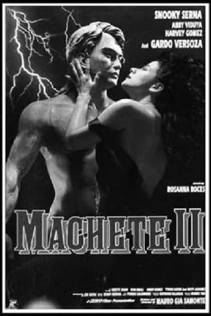 Machete II's poster