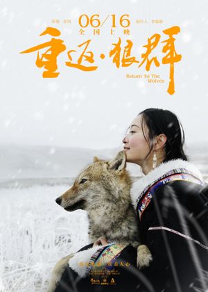 Return to the Wolves's poster