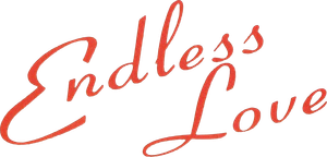 Endless Love's poster