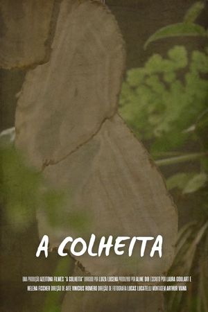 A Colheita's poster