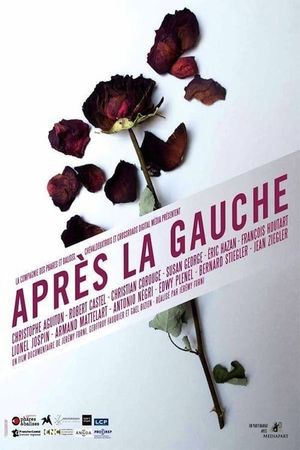 Après la gauche's poster image