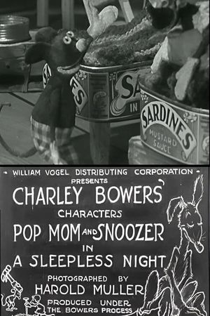 A Sleepless Night's poster