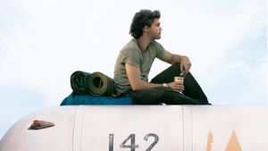Into the Wild's poster