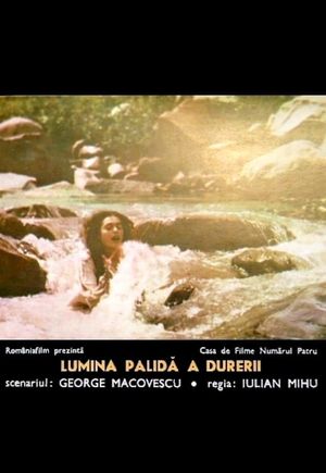 Lumina palida a durerii's poster