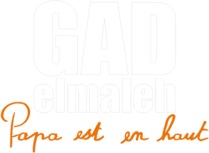 Gad Elmaleh: Papa est en haut's poster