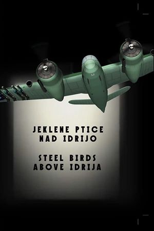 Steel Birds Above Idrija's poster