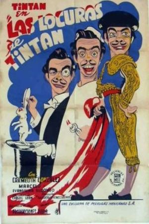 The Insanities of Tin Tan's poster