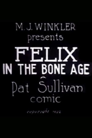 Felix in the Bone Age's poster image