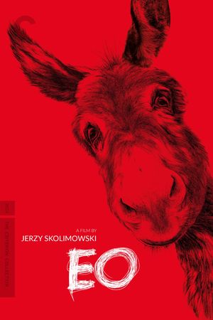 EO's poster