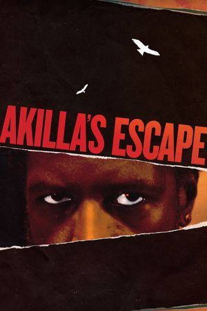 Akilla's Escape's poster