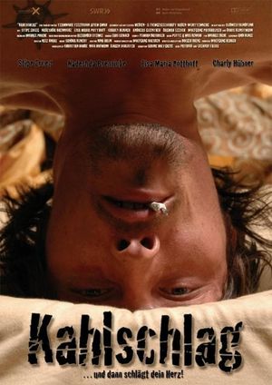 Kahlschlag's poster