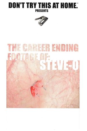 The Career Ending Footage of: Steve-O's poster