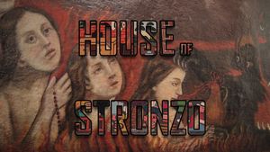 House of Stronzo's poster