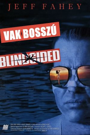 Blindsided's poster