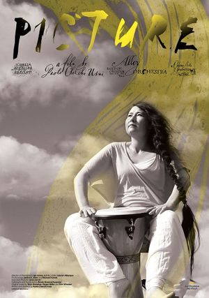 Picture's poster