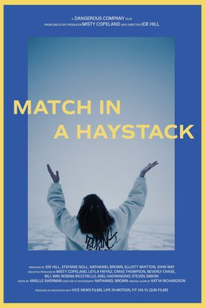 Match in a Haystack's poster