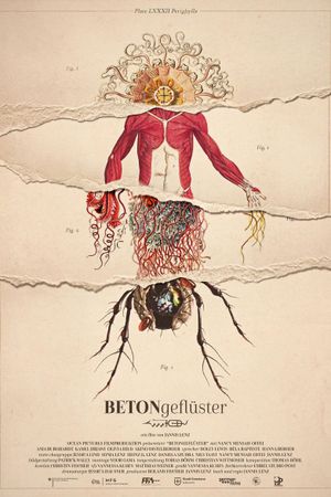Betongeflüster's poster