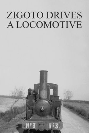 Zigoto Drives a Locomotive's poster