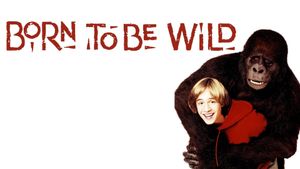 Born to Be Wild's poster