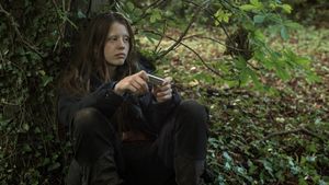 The Survivalist's poster
