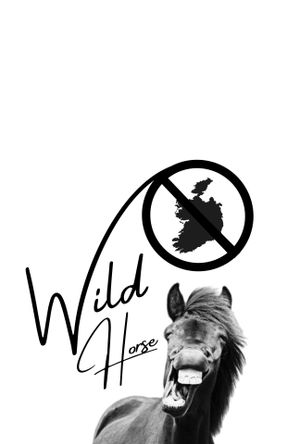 Wild Horse Nine's poster
