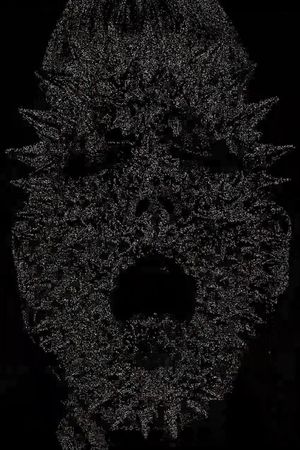 These Unruly and Ungovernable Selves's poster