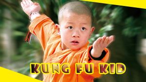 Kung Fu Kid's poster