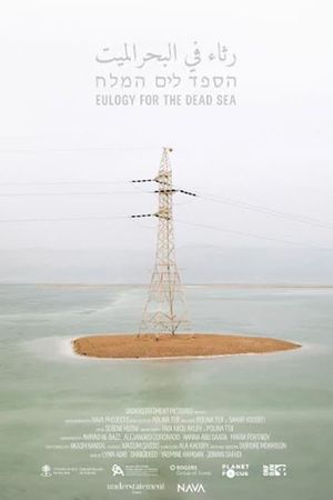 Eulogy for the Dead Sea's poster image