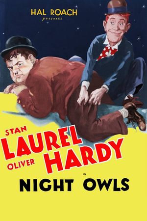 Night Owls's poster